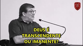 Deus é transcendente ou imanente [upl. by Arikahs119]