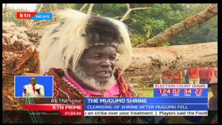 Gikuyu elders hold special event of cleansing of shrine after Mugumo tree fell [upl. by Glennis]