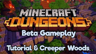 Lets Play Minecraft Dungeons ▫ Beta Gameplay ▫ Tutorial amp First Level Lets Play Ep1 [upl. by Abrahamsen]