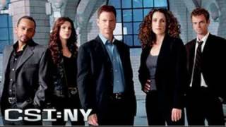 CSI New York Theme Tune [upl. by Homere]