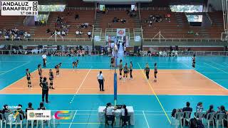 U18  DIV Oro  FINAL  Andaluz vs Banafrut [upl. by Orola281]