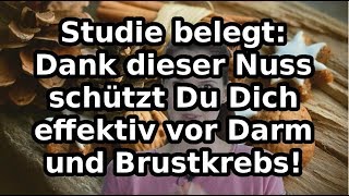 Studie belegt Dank dieser Nuss schützt Du Dich effektiv vor Darm und Brustkrebs [upl. by Arac376]