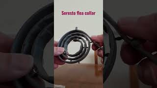 Seresto flea tick collar for cats and dogs shortsyoutube dog cat [upl. by Yentruok991]