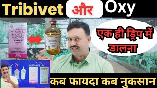 Tribivet और Oxy एक ही ड्रिप में कब करते है नुकसान Tribivet with oxytetracycline Injection veterinary [upl. by Oznecniv184]