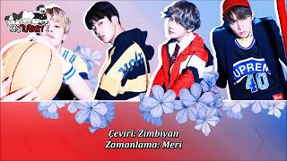 BTS  IllegalDimple보조개 Türkçe Altyazılı [upl. by Nerraj889]