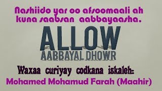 ALLOW AABAYAAL DHOWR  NASHIIDO YAR OO AFSOMALI AH  OGAALKA DUNIDA [upl. by Denby]