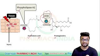 MECHANISM OF ACTION OF NSAIDS  PHARMACOLOGY [upl. by Sacks376]