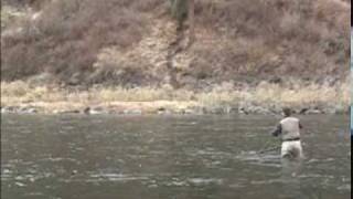 Steelhead Fly fishing the Grande Ronde river in Washington [upl. by Netsrejk245]