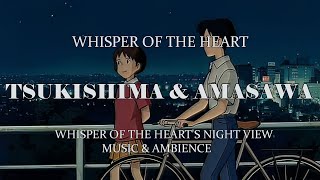 The night atmosphere of Asamawa and Tsukishima Studio Ghibli ASMR Ambience [upl. by Adnalro]