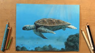 Sea Turtle  Colored Pencil Drawing on Toned Paper [upl. by Nahc]