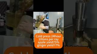 Chimerical Ginger Juicer Machine can work 24hour with high yield [upl. by Austina]