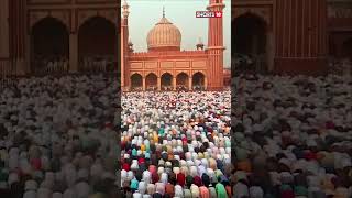 EidAlFitr Celebrated Delhi Thousands Gather To Offer Prayers Exchange Greetings  shorts  N18S [upl. by Alakam]