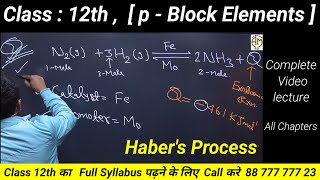 Habers Process [upl. by Eveam9]