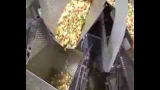 VertPackaging machine for Frozen vegetables 16 heads [upl. by Gnilyarg]