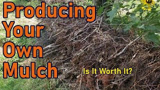 Pros amp Cons of Growing Your Own Mulch With Examples  Native Mulch  Texas Permaculture Garden [upl. by Alleen]