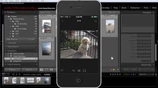 Whats New in Lightroom 55 and Lightroom Mobile for iPhone and iPad [upl. by Proudlove]