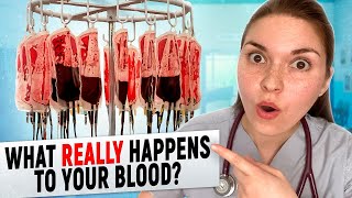 Doctor Explains What REALLY Happens To Your Blood After Donating [upl. by Orgalim269]