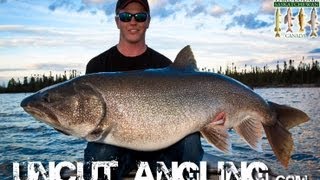 50 POUND LAKE TROUT  Uncut Angling  June 14 2012 [upl. by Tabbie919]