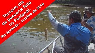 Terceiro dia da pescaria feita no Pantanal  Rio Miranda  outubro de 2019 [upl. by Hogg]