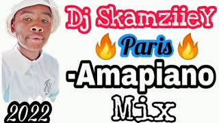 Paris Amapiano Remix  Dj SkamziieY [upl. by Sirrom]