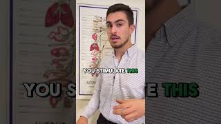 Sympathetic vs parasympathetic nervous system chiropractic nervoussystem [upl. by Naivad]