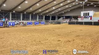 Bluebonnet Kick Off Classic  Showmanship Show [upl. by Hcirteid]