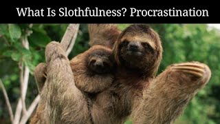 What Is Slothfulness Modern Day Procrastination [upl. by Leopoldeen]