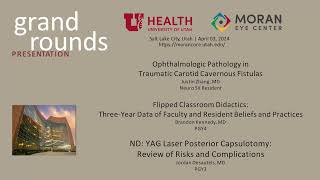 Traumatic Carotid Cavernous Fistulas Flipped Class Didactics ND YAG Laser Posterior Capsulotomy [upl. by Attenol388]