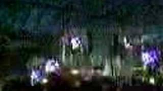 Sensation Black 2005  Opening [upl. by Annasus]