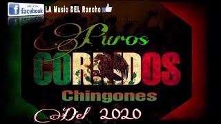 Puros Corridos Chingones🇲🇽☠️Parte 1☠️  By DJ Tauro [upl. by Anailli910]