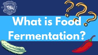 Fermentation 101 What is Fermentation [upl. by Ameg505]