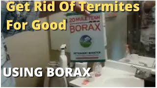 How To Get Rid Of Termites For Good Using Borax  Best Solution Do It Yourself [upl. by Suivatna]