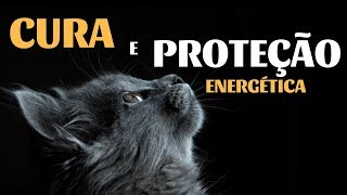 Gatos  Poder de Cura e Proteção Energética [upl. by Anhavas110]