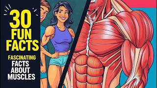 30 Fun Facts  Fascinating Facts About Muscles [upl. by Berget309]