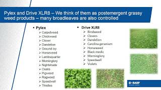 Pylex Herbicide and Drive XLR8 Herbicide  Overview [upl. by Eceela]