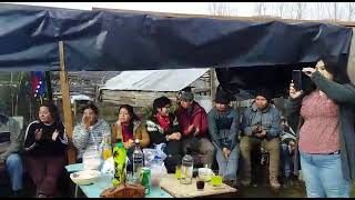 casamiento mapuche pehuenche con grupo pehuenches [upl. by Pitarys]