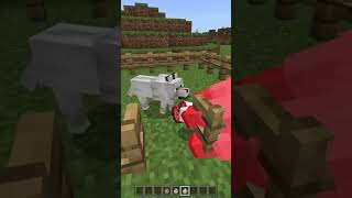 دليل على ان ماين كرافت دخلت الاسلام 😂 😸 minecraft زيديكس [upl. by Schubert]