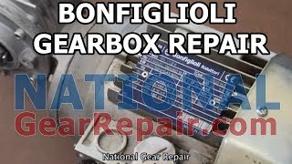 BonFiglioli Gearbox Repair [upl. by Ikkin]