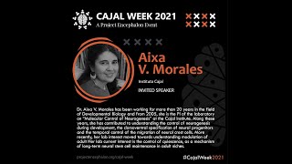 Dr Aixa V Morales  Speaker  Cajal Week 2021 [upl. by Yllatan]