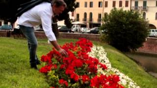 MARCO amp IL CLAN  ROSSE ROSE VIDEO UFFICIALE [upl. by Nnewg663]