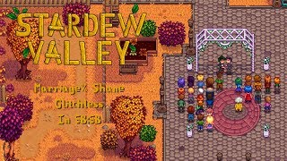 Stardew Valley Speedrun  Marriage Shane Glitchless in 5858 [upl. by Drof]