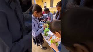 Salad Making Competition 🥗  themodernschoolbhabua tms education school shorts youtubeshorts [upl. by Sinclare]