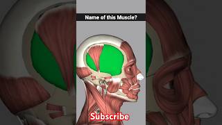 temporalis muscle anatomy  temporalis muscle release foryou shorts [upl. by Nerac248]