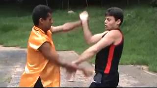 Kung Fu Vs Punho Livre [upl. by Leong]