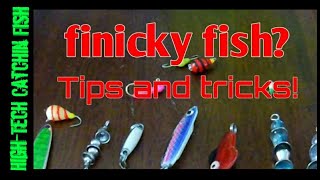 Watch the whole vidFinicky fish When the fishing gets tough Hali glow drop chain product review [upl. by Hannus]