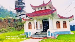 Single Tree Hill  Nuwara Eliya  Sri Lanka [upl. by Ameerak299]