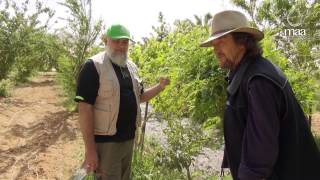 Greening The Desert  MAA International Permaculture [upl. by Yelnikcm]