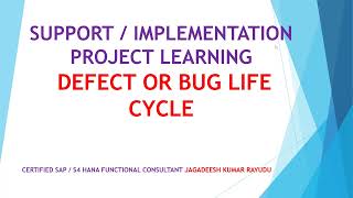 SUPPORT OR IMPLEMENTATION PROJECT LEARNING FOR DEFECT OR BUG LIFE CYCLE [upl. by Eeliram471]