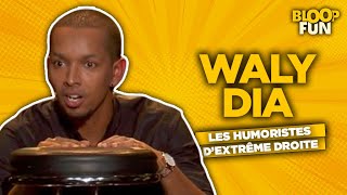 Waly Dia  LE RACISME ET LES HUMORISTES DEXTRÊME DROITE  Garde la pêche spectacle 2016 [upl. by Toland]