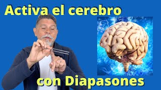 Técnicas de musicoterapia aplicada para activar y tonificar el cerebro con DIAPASONES 🧠💙💙🧠💙💙🧠 [upl. by Ayitahs55]